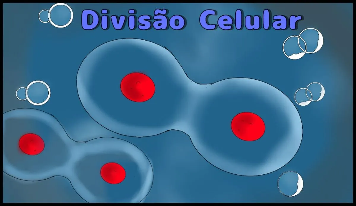 A célula é considerada a unidade básica dos seres vivos, sejam eles unicelulares ou pluricelulares. Ela é responsável por todas as funções vitais e estruturas que compõem um organismo. Ao longo da história da ciência, os cientistas fizeram descobertas importantes sobre a organização e a função das células.